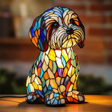 Sam | Magische Lamp