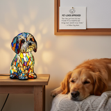 Sam | Magische Lamp