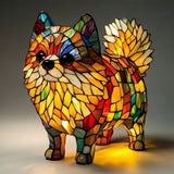 Simba | Pomerania Stralende Zon