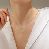 Kraag van Oneindig Zilver voor Harige Vrienden Forever Connected